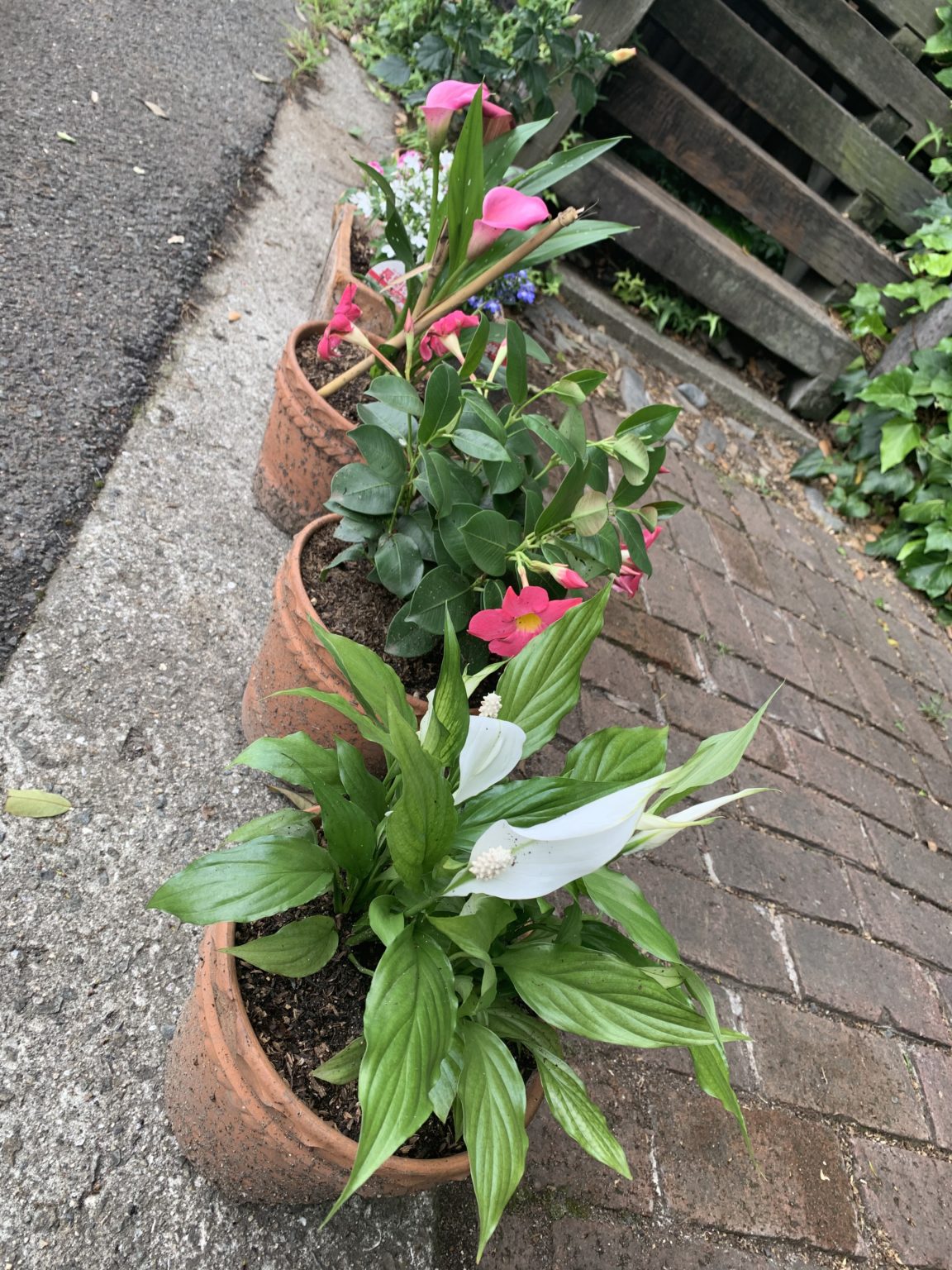 花檀｜檀建築コンサルタント｜和歌山｜住宅設計