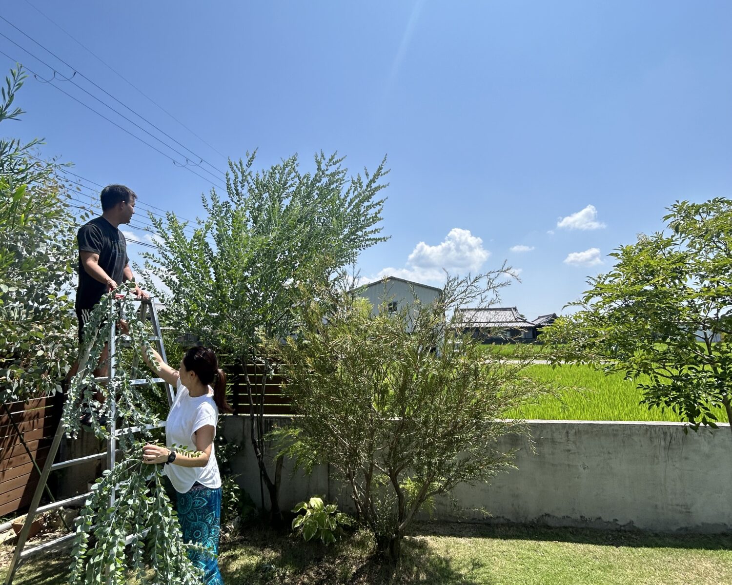 建ててからも。